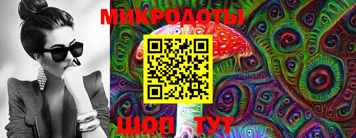 Псилоцибиновые грибы Psilocybine cubensis Сарапул